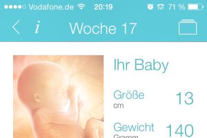 Verwirrt Wie Gross Ist Das Baby In Der 17 Ssw Forum Schwangerschaft Urbia De