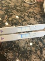 Ss Test Anzeichen F Zwillinge Forum Schwangerschaft Urbia De