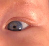 Augen eltern augen braune kind blaue VIDEO: Augenfarbe