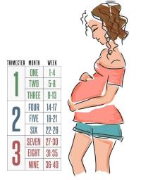 In Welchem Monat Bin Ich Schwanger Forum Schwangerschaft Urbia De